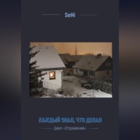 SeHi. Каждый знал, что делал