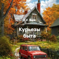 . Курьезы быта