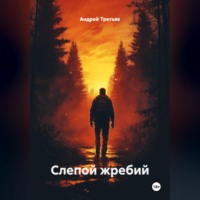 . «Слепой жребий»
