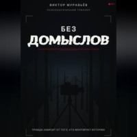 . Без домыслов