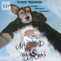 Елена Черняева. Лекарство от пустоты. Истории взаимного исцеления