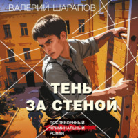 Валерий Шарапов. Тень за стеной