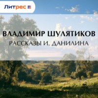 Владимир Михайлович Шулятиков. Рассказы И. Данилина