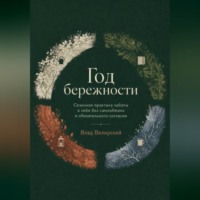 Влад Велирский. Год бережности