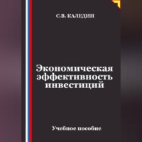 Сергей Каледин. Экономическая эффективность инвестиций
