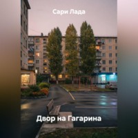 Сари Лада. Двор на Гагарина