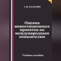 Сергей Каледин. Оценка инвестиционных проектов по международным показателям