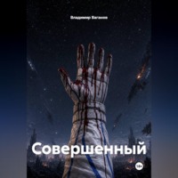 Владимир Ваганов. Совершенный