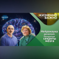 Казанский федеральный университет. Как мозг человека обучается, адаптируется и восстанавливается