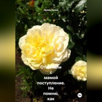 Лилия Лилия. Отмечали с мамой поступление. Не помню, как оказалась в кровати с дядькой... Забеременела от него