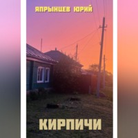 . Кирпичи