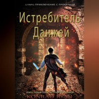. Истребитель Данжей