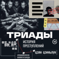 Цзян Цзиньлун. Триады. История преступлений