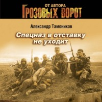 Александр Тамоников. Спецназ в отставку не уходит