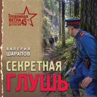 Валерий Шарапов. Секретная глушь