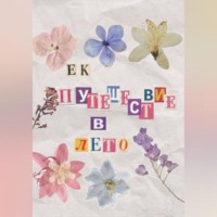 . Путешествие в лето