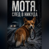 Алексей Косарев. Мотя. След в никуда