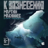 Мартин МакИннес. К вознесению