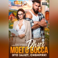 Тэсса Рэй. Друг босса. Это залёт, сибиряк!