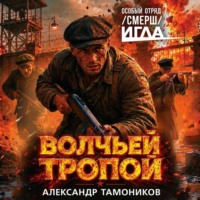 Александр Тамоников. Волчьей тропой