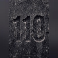 Артём Ротганк. Дело 110