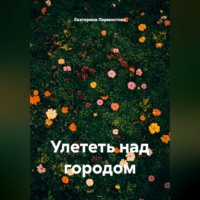 . Улететь над городом