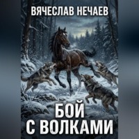 . Бой с волками
