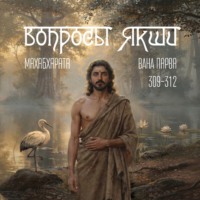 . Махабхарата – Вопросы Якши