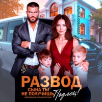 . Развод. Сына ты не получишь, подлец!