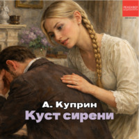 . Куст сирени