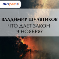 Владимир Михайлович Шулятиков. Что дает закон 9 ноября?