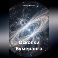 Светлана Жуланова. Осколки Бумеранга