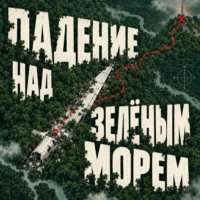 Тео Норд. Падение над зелёным морем