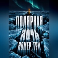 . Полярная ночь номер три