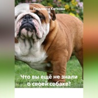 Людмила Каткова. Что вы ещё не знали о своей собаке?