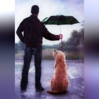 Елена К.. Если день пошёл не по плану — держи пять минут тишины и кота.