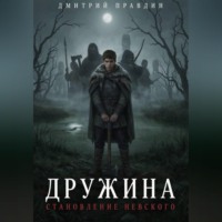. Дружина: Становление Невского