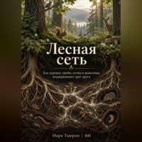 . Лесная сеть: Как деревья, грибы, почва и животные поддерживают друг друга