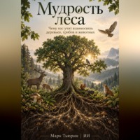 . Мудрость леса: Чему нас учит взаимосвязь деревьев, грибов и животных