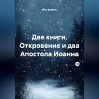 Илья Кусиль Моисеевич Брайнос. Две книги. Откровение и два Апостола Иоанна