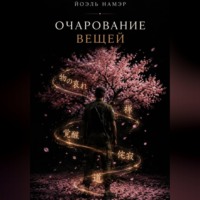 Йоэль Намэр. Очарование вещей