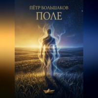 Пётр Большаков. Поле