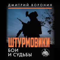 Дмитрий «Юрист» Воронин. Штурмовики. Бои и судьбы