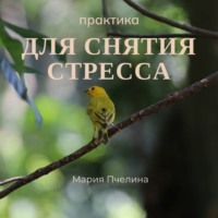 Мария Пчелина. Практика для снятия стресса