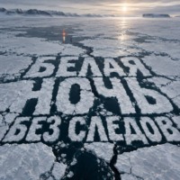 Тео Норд. Белая ночь без следов