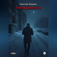 Николай Жмурин. Последняя ночь