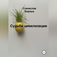 Станислав Владимирович Борзых. Судьба цивилизации