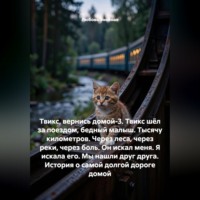 Любовь Знойная. Твикс, вернись домой-3. Твикс шёл за поездом, бедный малыш. Тысячу километров. Через леса, через реки, через боль. Он искал меня. Я искала его. Мы нашли друг друга. История о самой долгой дороге домой