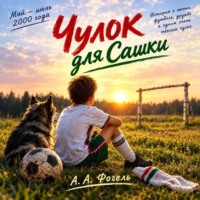 Саша Фогель. Чулок для Сашки