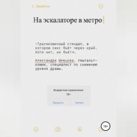 Александра Сергеевна Шевцова. На эскалаторе в метро